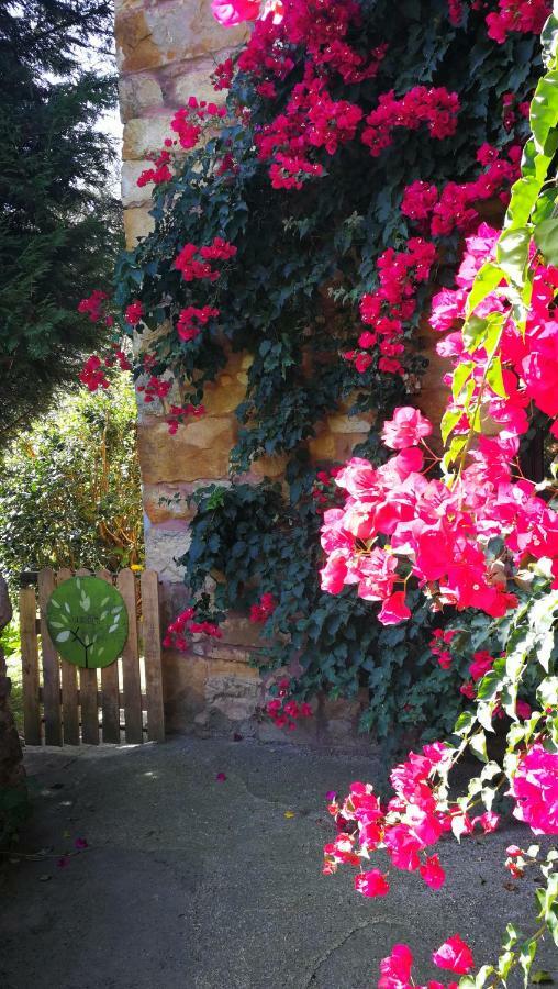 Casa Rural La Posada Del Alba Алеа Экстерьер фото